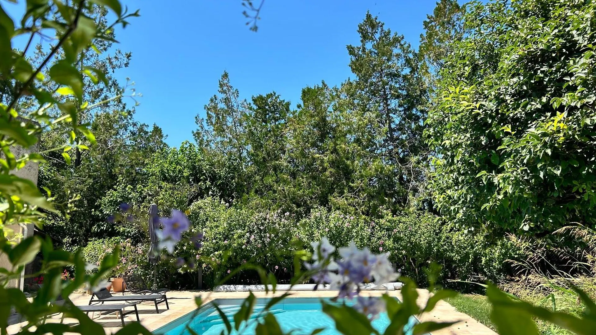 Βίλα Provenzalisches Landhaus Les Martinets Am Fusse Des Mont Ventoux Villes-sur-Auzon